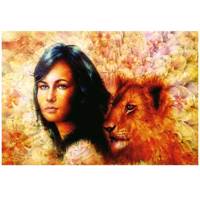 تابلو شاسی نوآوران کد SH27 Noavaran SH27 Tableau