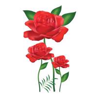 استیکر سالسو طرح رز سرخ Salso Red Rose Sticker