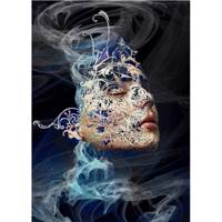 تابلو بوم کنواس الماس گالری کد ALS005