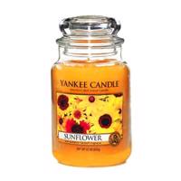 شمع ینکی کندل برای تارت مدل صدای گل آفتابگردان Yankee Candle For Tart Sound Of Sunflower Candle