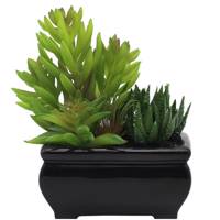 گلدان گل آکو مدل کاکتوس B3790 Ako Cactus B3790 Flower Vase