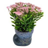 گلدان به همراه گل مصنوعی کیدتونز کد KGG-004-2 Kidtunes KGG-004-1 Flower And Pot