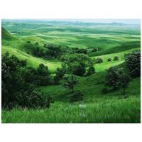 تابلو شاسی مِسترچاپ کد 1016