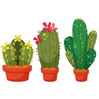 استیکر سالسو طرح 3 Cactus Salso Cactus 3 Sticker