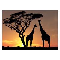 تابلو شاسی ونسونی طرح Sunset Beyond Giraffes سایز 30x40 سانتی متر Wensoni Sunset Beyond Giraffes Chassis 40 x 30