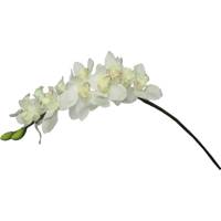 گل مصنوعی ارکیده سیلینیوم مدل AR001