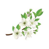 استیکر سالسو طرح شکوفه سیب Salso Apple Blossom Sticker