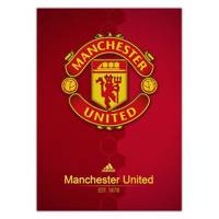 تابلوی ونسونی طرح Manchester United 2016 سایز 30x40 Wensoni Manchester United 2016 Chassis 30x40