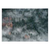 تابلو شاسی ونسونی طرح Cloudy Jungle in Fall سایز 30x40 سانتی متر Wensoni Cloudy Jungle in Fall Chassis 40 x 30