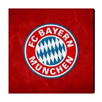 تابلو شاسی عرش مدل AS142 طرح FC Bayern Munich سایز 20x20 سانتی متر