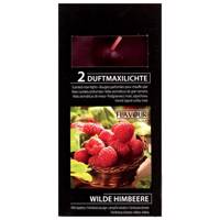 وارمر گالا مدل Wilde Himbeere بسته 2 عددی - Gala Wilde Himbeere Warmer Pack of 2