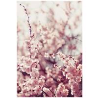 تابلو شاسی نوآوران کد SH20 Noavaran SH20 Tableau