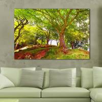 تابلو شاسی بوم آفتاب مدل N118