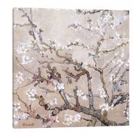 تابلو بوم آیریس کد Iris0004 طرح شکوفه های بادام