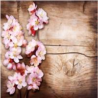 پوستر دیواری سه بعدی لوتوس مدل LW106
