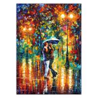 تابلو شاسی ونسونی طرح Leonid Afremov Dance in The Rain سایز 30x40 سانتی متر Wensoni Leonid Afremov Dance in The Rain Chassis 40 x 30