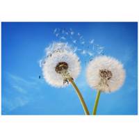 تابلو شاسی نوآوران کد SH13 Noavaran SH13 Tableau