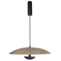 چراغ آویز سی آی ای مدل CIEP0608-450A CIE CIEP0608-450A Hanging Light