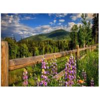 تابلو شاسی مِسترچاپ کد 1022