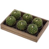 شمع هارمونی مدل کاکتوس N10243 بسته 6 عددی Harmony Cactus N10243 Candle Pack of 6