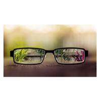 تابلو شاسی نقره ترمه مدل A26