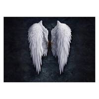 تابلو شاسی ونسونی طرح Angel Wings سایز 30 × 40 Wensoni Angel Wings Chassis 40 x 30