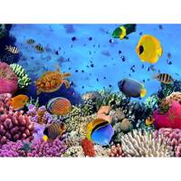 کاغذ دیواری 4 تکه 1وال مدل Sea-001 1Wall Sea-001 Wallpaper Giant