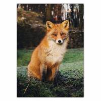 تابلو شاسی ونسونی طرح Brown Fox سایز 50 × 70 سانتی متر Wensoni Brown Fox Chassis Size 50 x 70 Cm