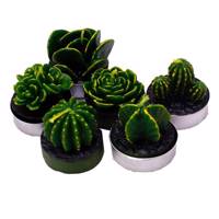 شمع ایرسا مدل Cactus مجموعه 6 عددی