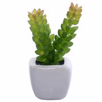 گلدان به همراه گل مصنوعی رایدین مدل کاکتوسR13 - Raydin Cactus R13 Flower Vase