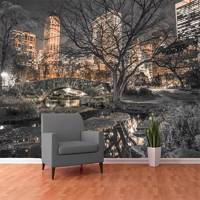 کاغذ دیواری 1وال مدل پارک مرکزی 1Wall Giant Mural Central Park Wallpaper