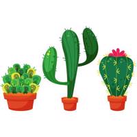 استیکر سالسو طرح Cactus Salso Cactus Sticker