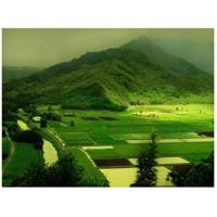 تابلو شاسی مِسترچاپ کد 1027