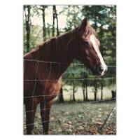 تابلو شاسی ونسونی طرح Horse in Hippodrome سایز 50x70 سانتی متر Wensoni Horse in Hippodrome Chassis Size 50 x 70 Cm