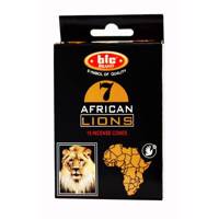 عود بیک مدل African Lions کد 1040 Bic African Lions 1040 Incense Cones