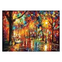تابلو شاسی ونسونی طرح Leonid Afremov Colorful Night سایز 50x70 سانتی متر Wensoni Leonid Afremov Colorful Nights Chassis Size 50 x 70 Cm
