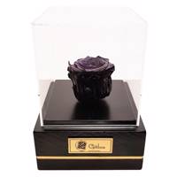 جعبه گل ماندگار گیتی باکس مدل رز جاودان مشکی کاج Gitibox Kaj Black Preserved Rose Flower Box