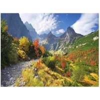 تابلو شاسی مِسترچاپ کد 1018